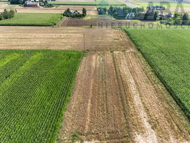 DZIAŁKI BUDOWLANE W KŁODAWIE – SPOKÓJ, LOKALIZACJA, POTENCJAŁ INWESTYCYJNY - Widok 2