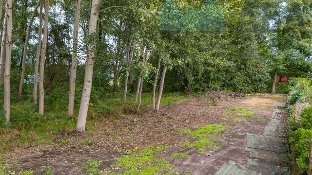 Działki przy Jeziorze Głodowskim - Widok 2
