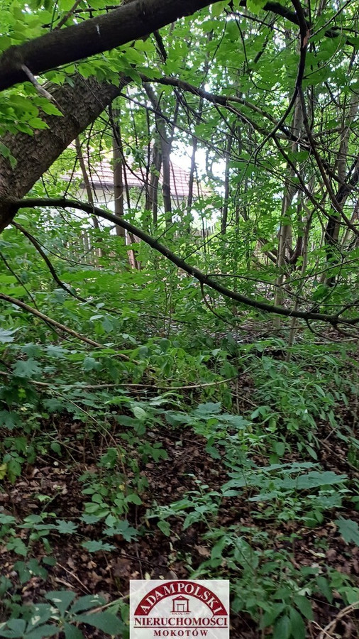 USŁUGINIEUCIĄŻLIWE LUB ZABUDOWA MIESZKANIOWA - Widok 3