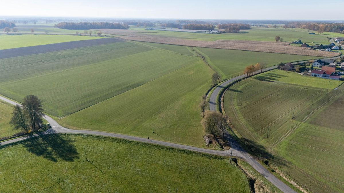 Działka budowlana Dzielna 1448 m² - Widok 5