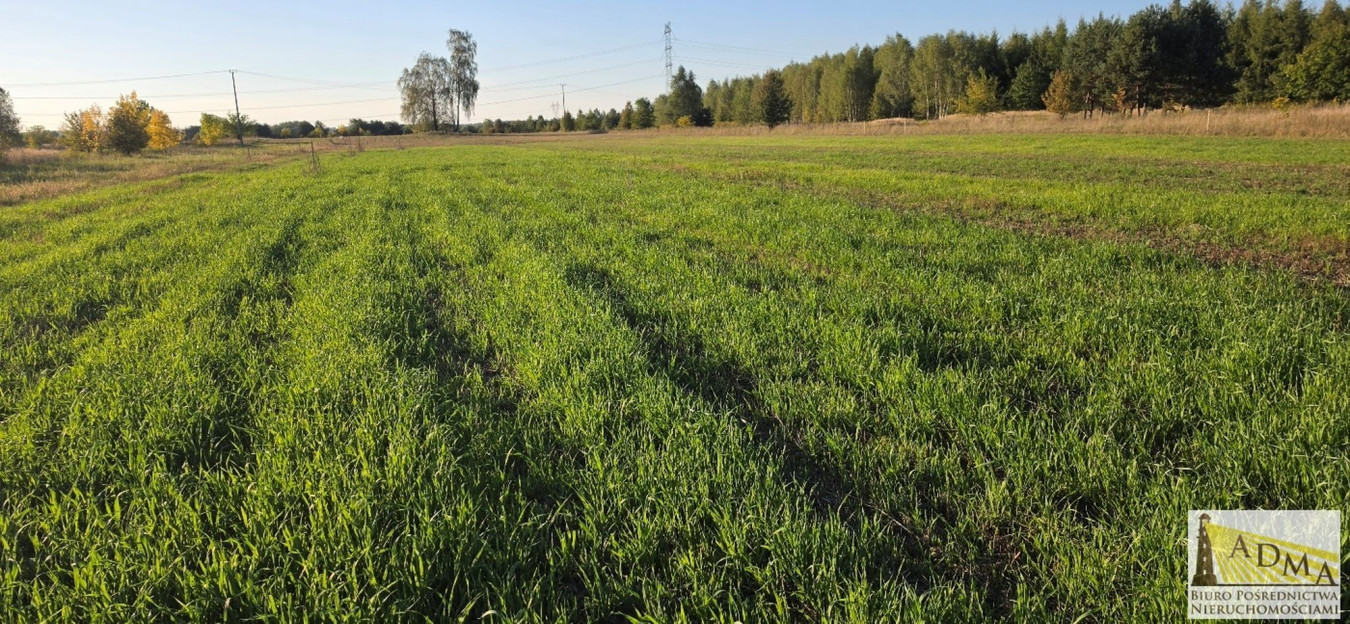 4 działki budowlane w Wojkowicach Kościelmych - Widok 3