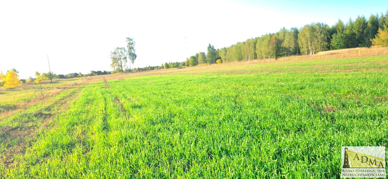 4 działki budowlane w Wojkowicach Kościelmych - Więcej