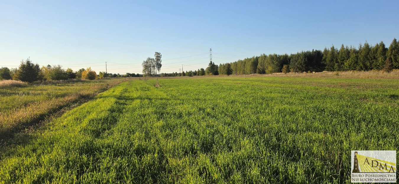 4 działki budowlane w Wojkowicach Kościelmych - Widok 2