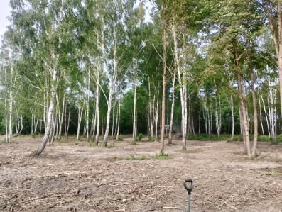 Działki pod dom lub usługi | Zielona okolica | MPZP | 110 zł/m² - Widok 2