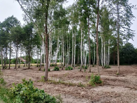 Działki pod dom lub usługi | Zielona okolica | MPZP | 110 zł/m² - Widok 4