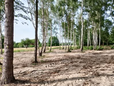Działki pod dom lub usługi | Zielona okolica | MPZP | 110 zł/m² - Widok 3