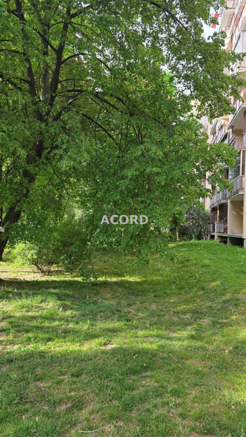 Apartment in Warszawa, Gocław, Praga-Południe - Widok 3