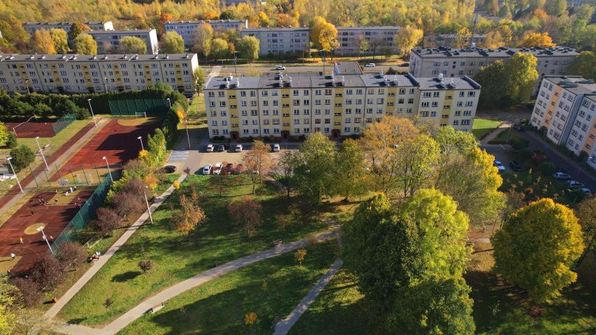gratka-1554