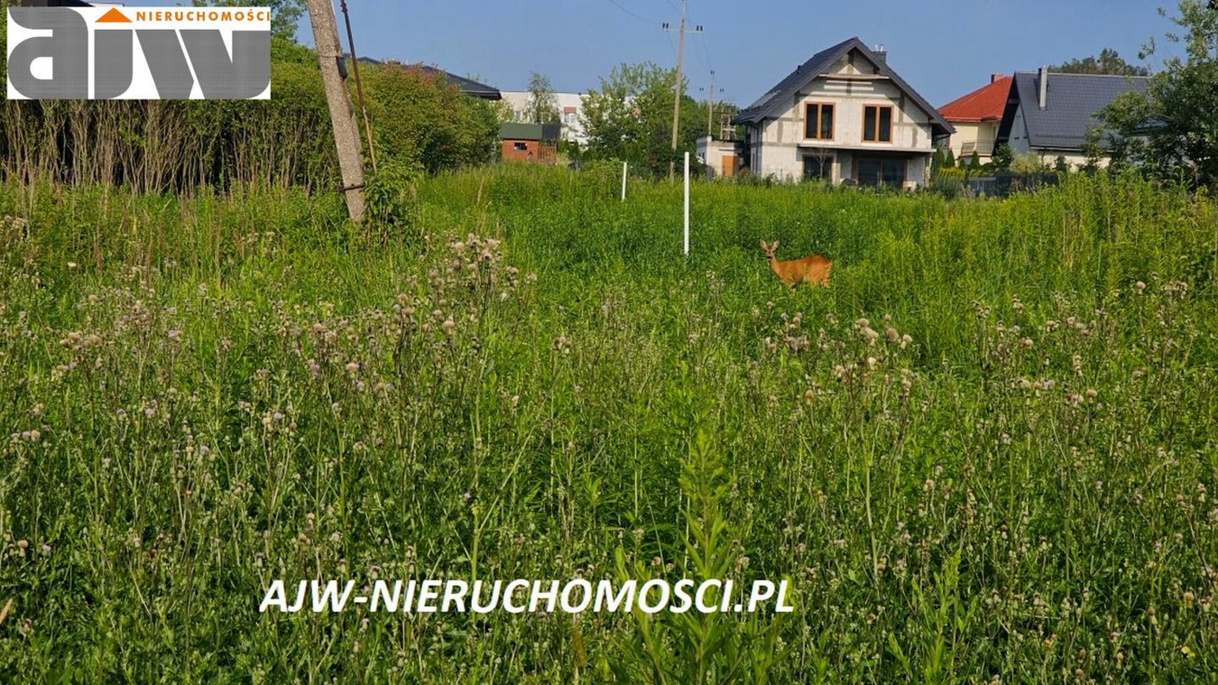 gratka-15962893 - Widok 2