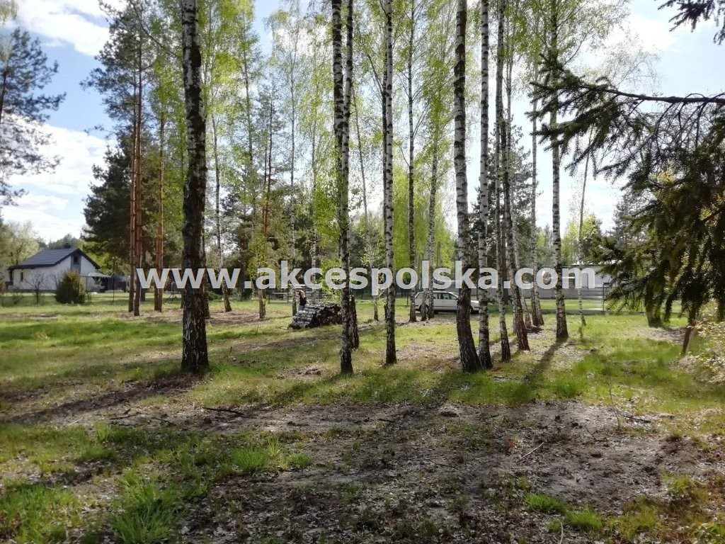 Jeruzal zadrzewiona działka z mpzp - Widok 3