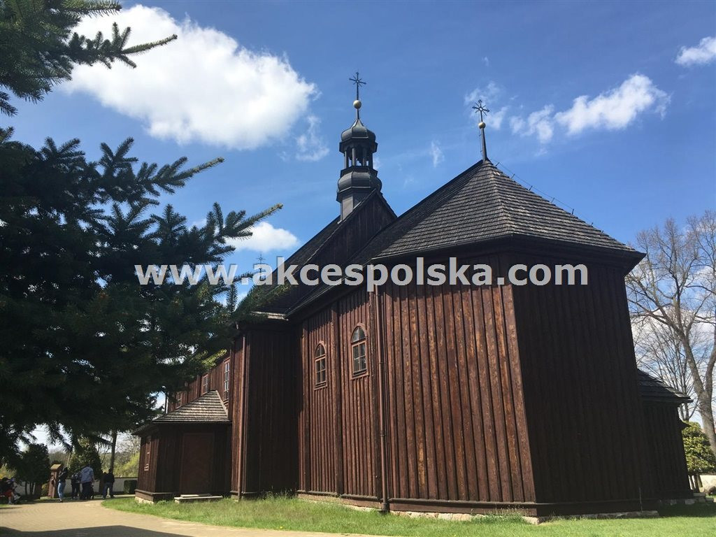 Jeruzal zadrzewiona działka z mpzp - Widok 5