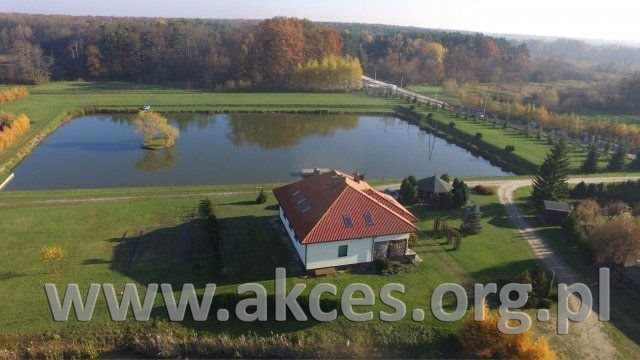Głosków gm. Pisaeczno sprzedaż siedliska