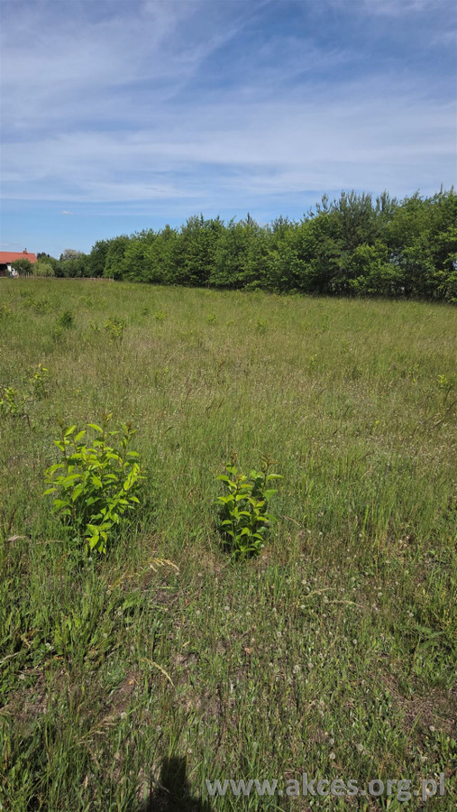 Działka budowlana Radzymin - Widok 3