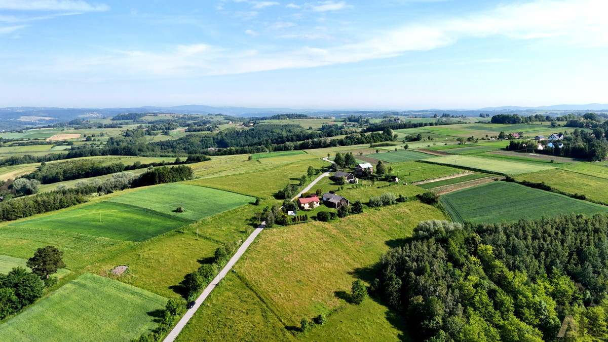 Działka budowlana 22,73 ara- Siedliska gm. Bobowa - Widok 5