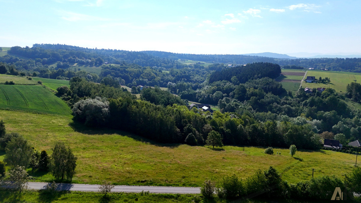 Działka budowlana 22,73 ara- Siedliska gm. Bobowa - Widok 4