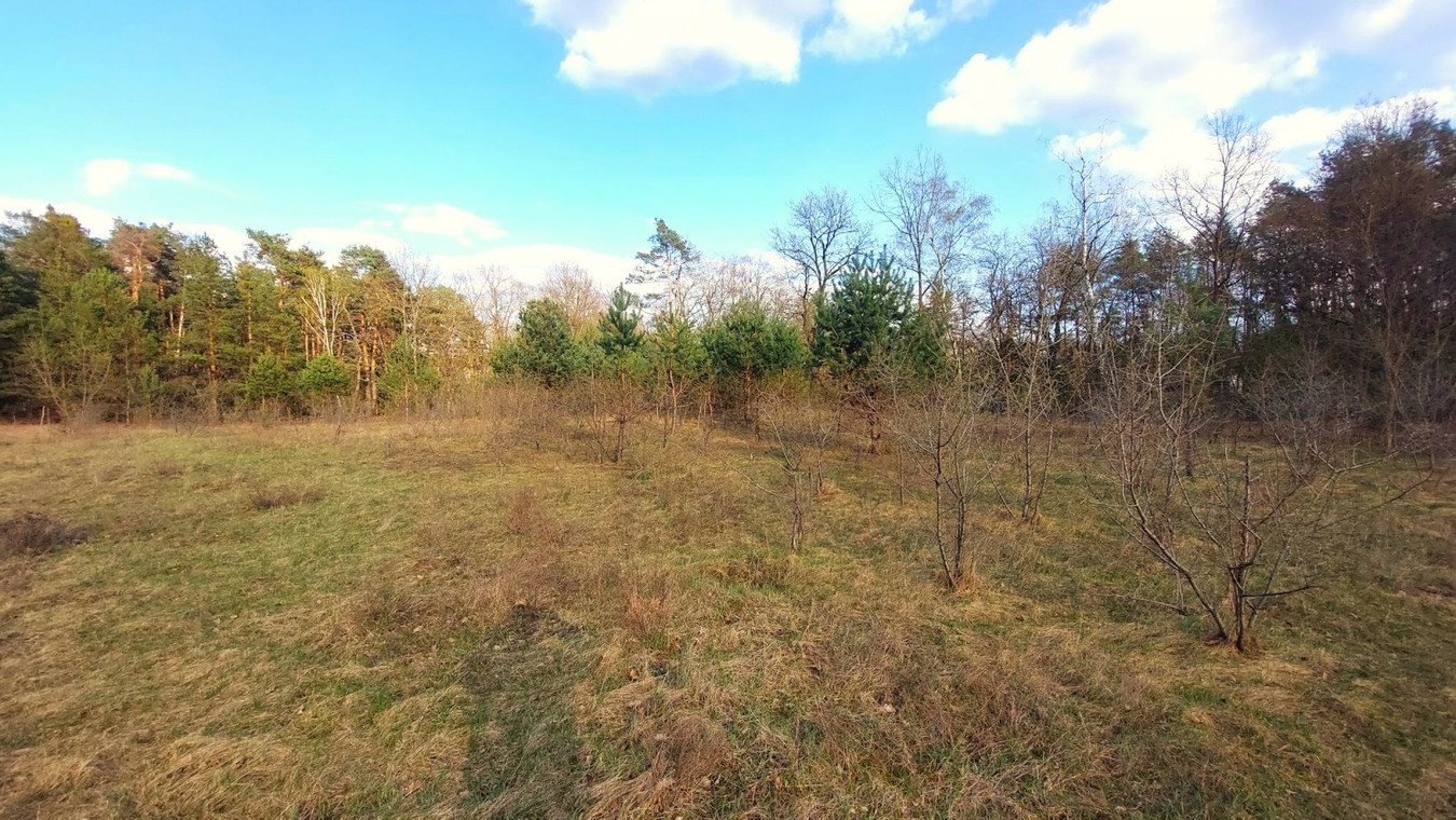 Działka o powierzchni 4060 m² z warunkami zabudowy. w otulinie lasu - Widok 4