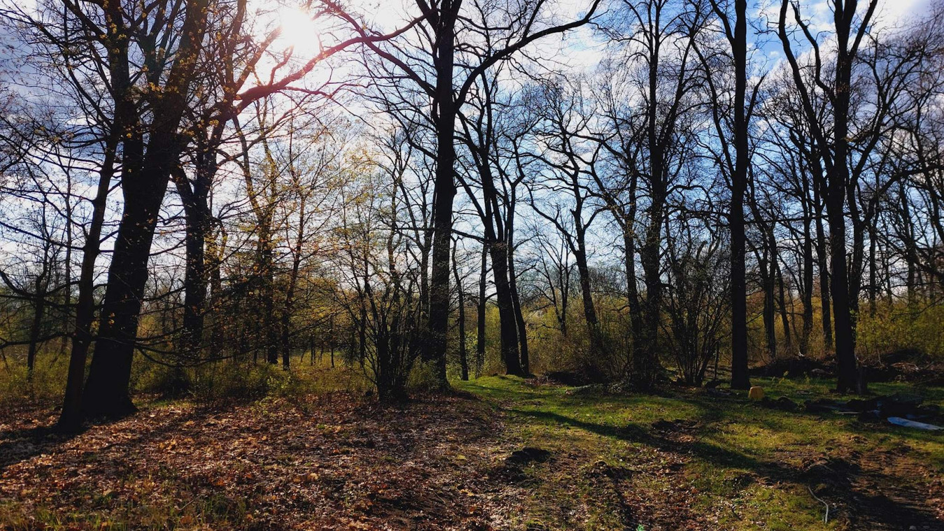 Działka o powierzchni 4060 m² z warunkami zabudowy. w otulinie lasu - Widok 2