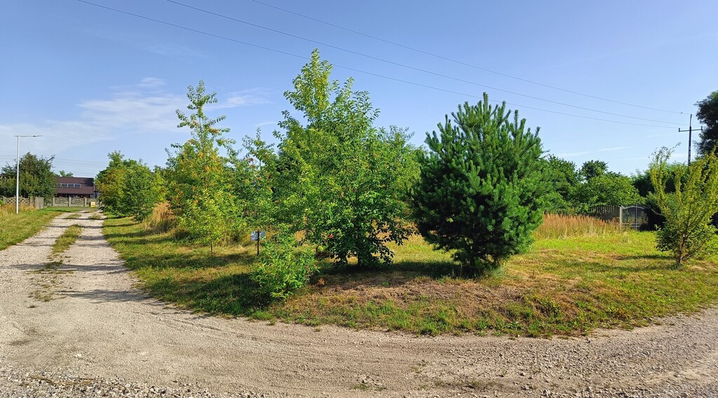 ✅Sprawdź - Działka pod bud. jednorodz. 1301 m²✅ - Widok 3