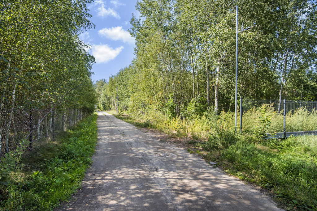 ✅ Zobacz> Działka budowlana pod lasem> 1102 m²✅ - Widok 4