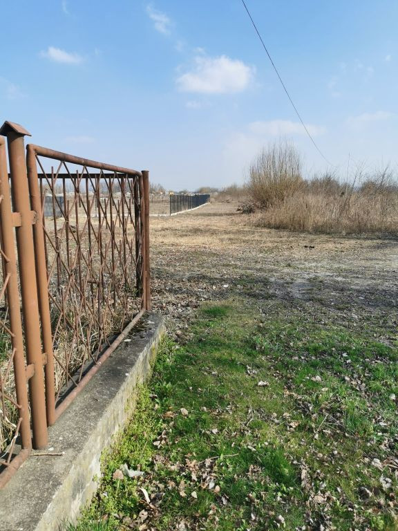 Nysa - miasto, strefa ekonomiczna (WSSE), super MPZP. Proponuj cenę! - Więcej