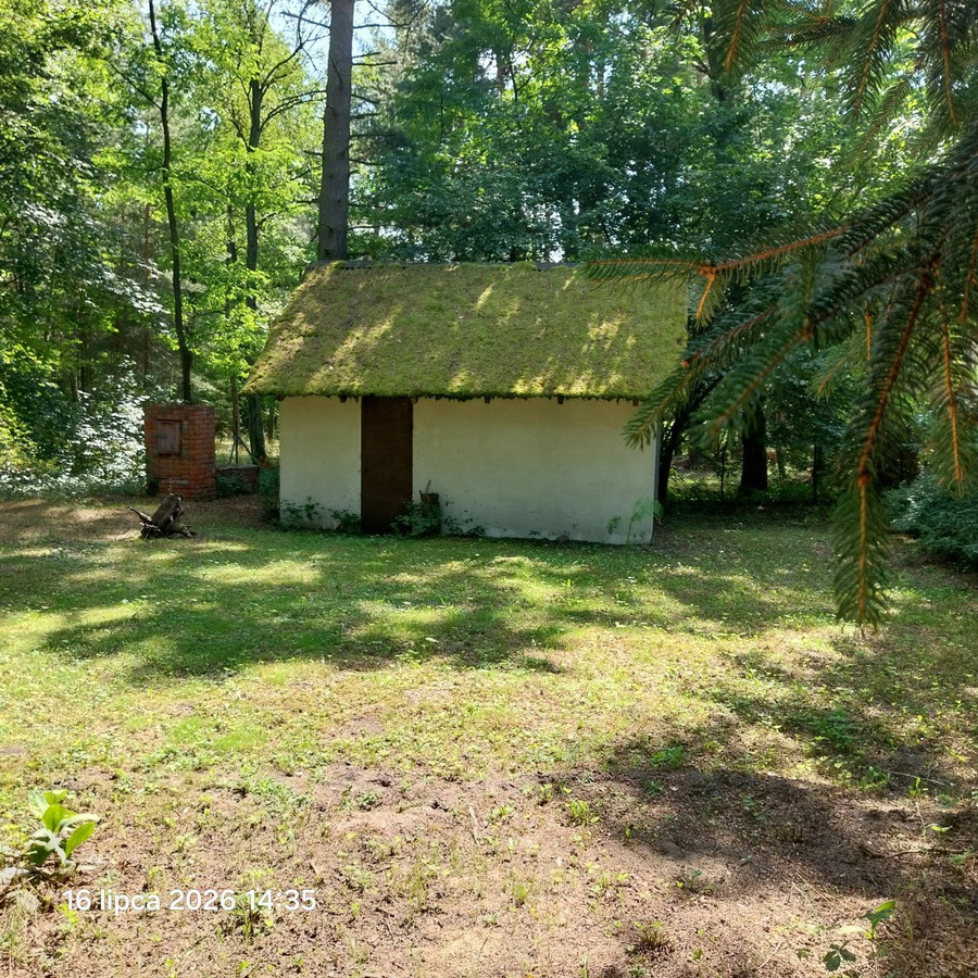 Działka rekreacyjna - Widok 5
