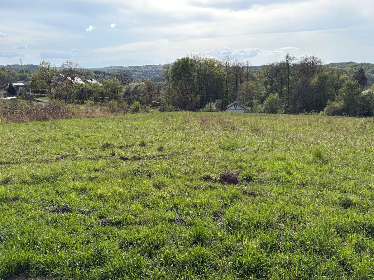 Działka budowlana - Widok 2