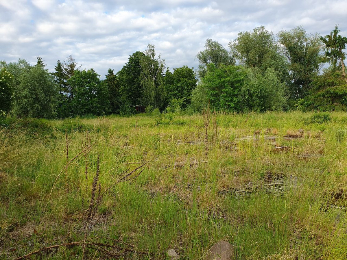 Ogrodzona działka budowlana Grobelno / Malbork, 2249 m², warunki zabudowy - Widok 4