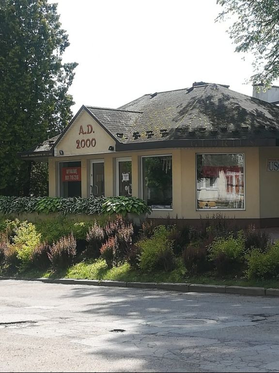 Do wynajęcia lokal usługowo-handlowy - Widok 2