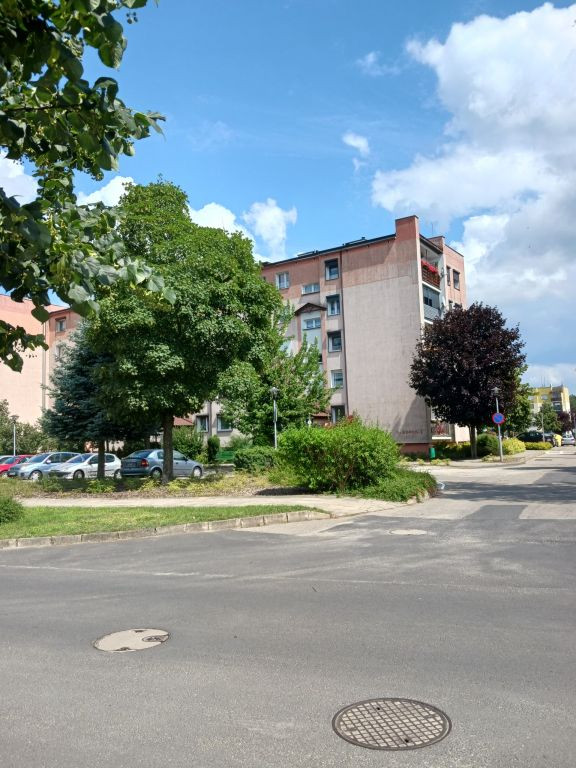 Sprzedam Wronki Borek 1 - Widok 5