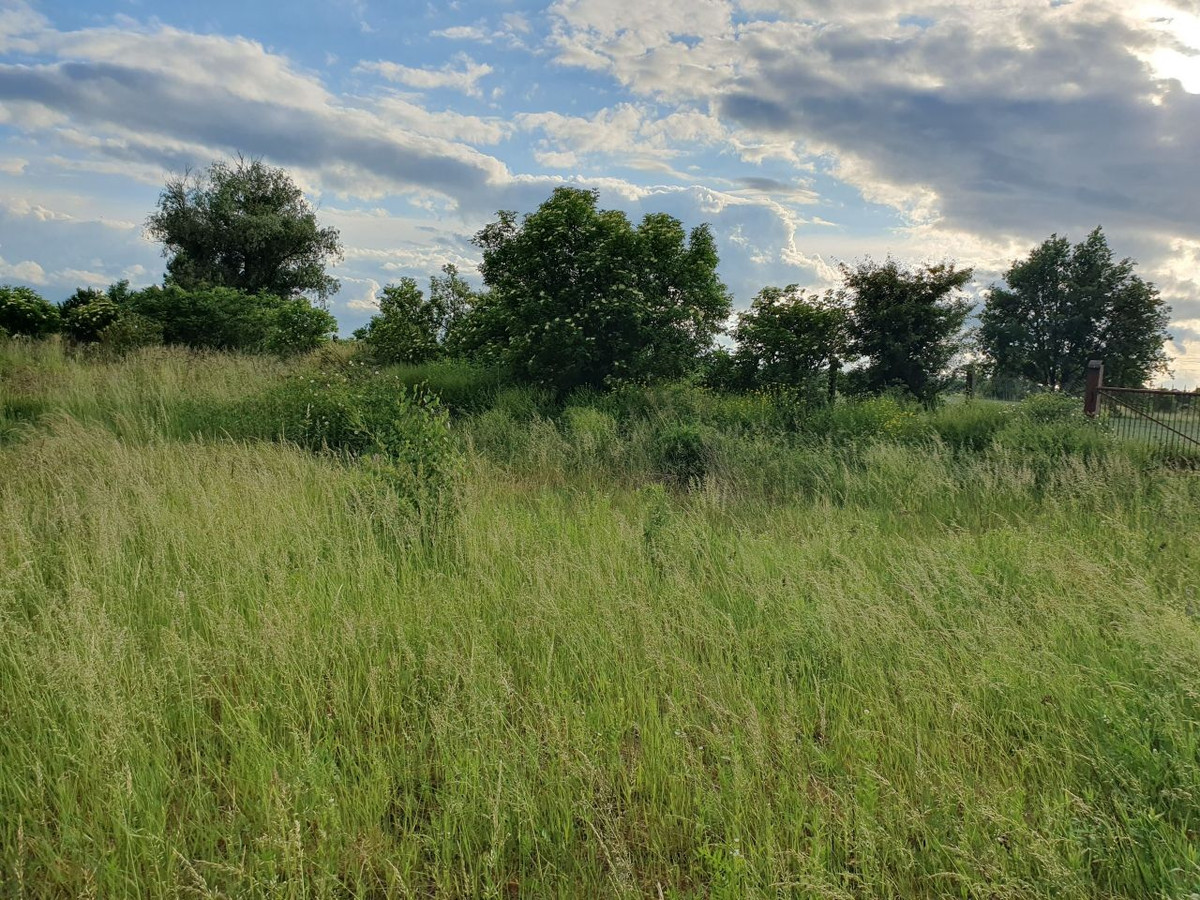 Ogrodzona działka budowlana Grobelno / Malbork, 2249 m², warunki zabudowy - Widok 3