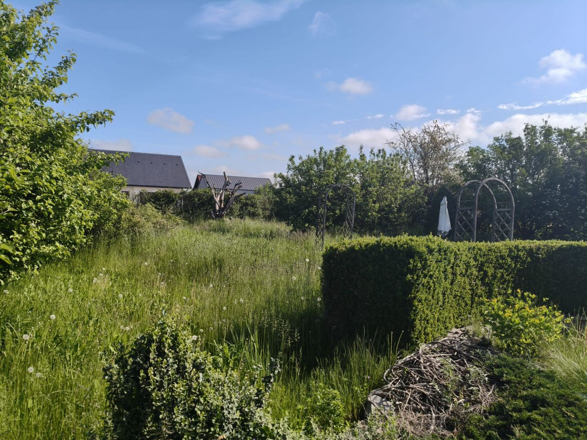 Teren pod inwestycję lub dom - Widok 4