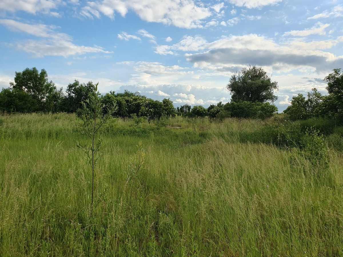 Ogrodzona działka budowlana Grobelno / Malbork, 2249 m², warunki zabudowy - Widok 2