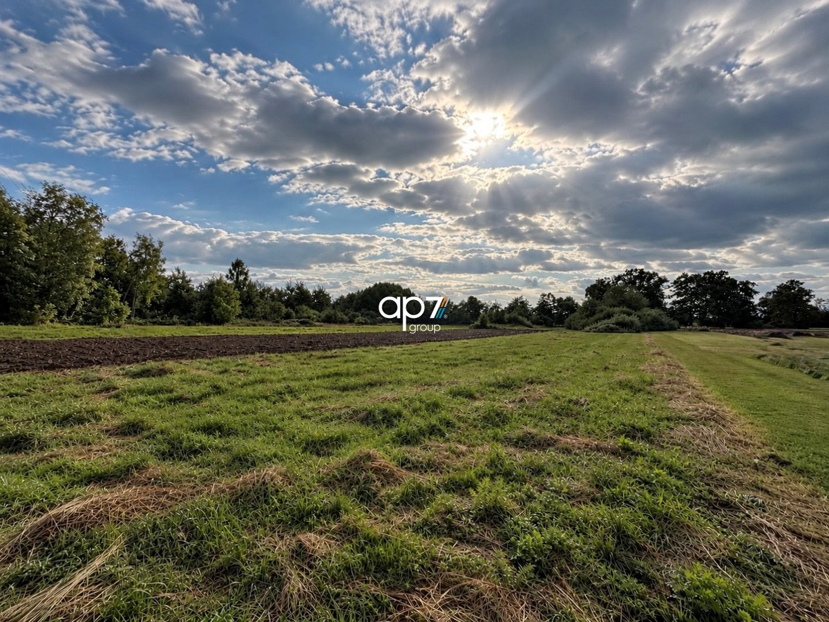 Działka 27 ar | MPZP | Wielkie Drogi - Widok 3