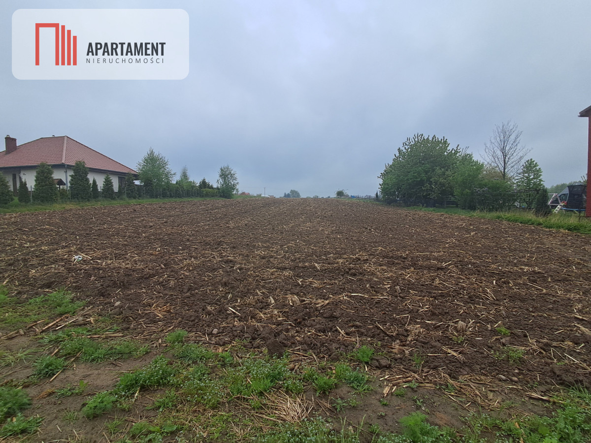 Duża działka w cichej okolicy - Widok 2