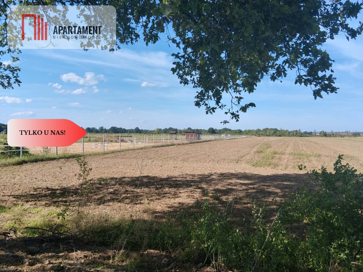 Działka rolna 1,09 ha Głoska gm. Miękinia - Widok 3