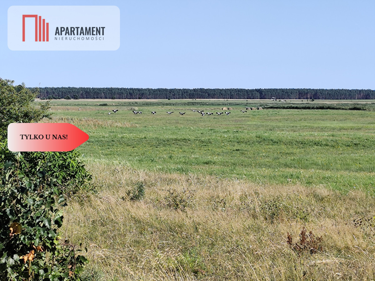 Tylko u Nas! Działka rolna o pow. 3,35 ha - Widok 4