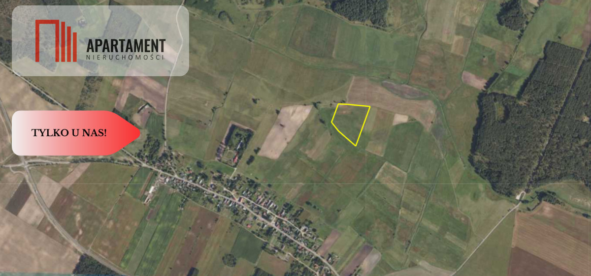 Tylko u Nas! Działka rolna o pow. 3,35 ha - Widok 3