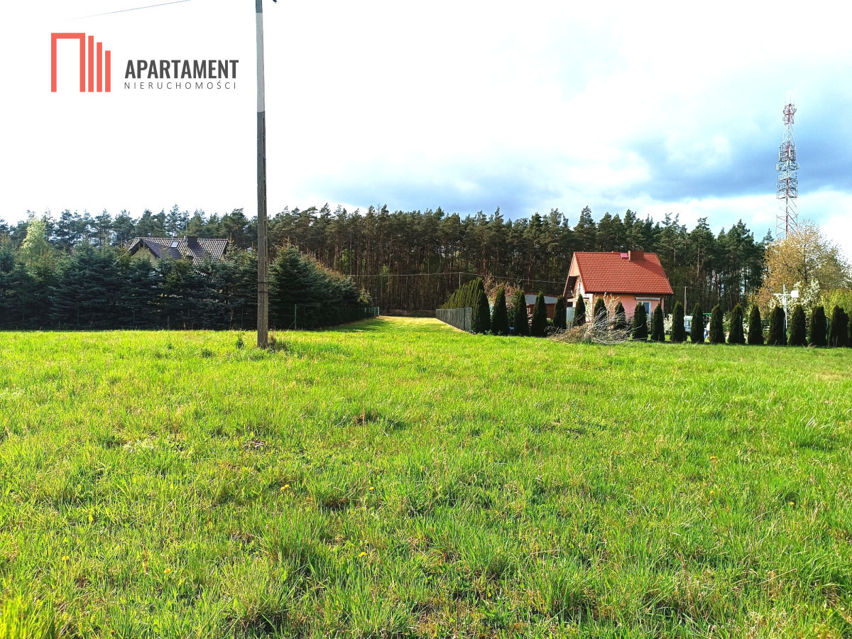 Działka Dąbrowa Chełmińska 1607 m² z MPZP - Widok 2