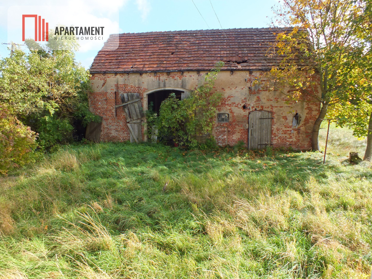 Mieszkanie – Kozielec - Widok 4