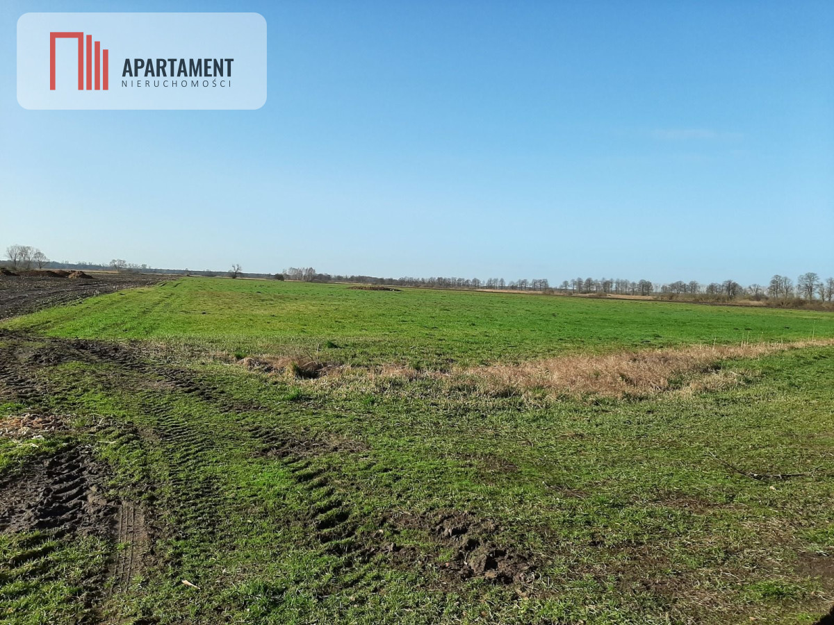 Działki w Nowym Kompleksie - Widok 2