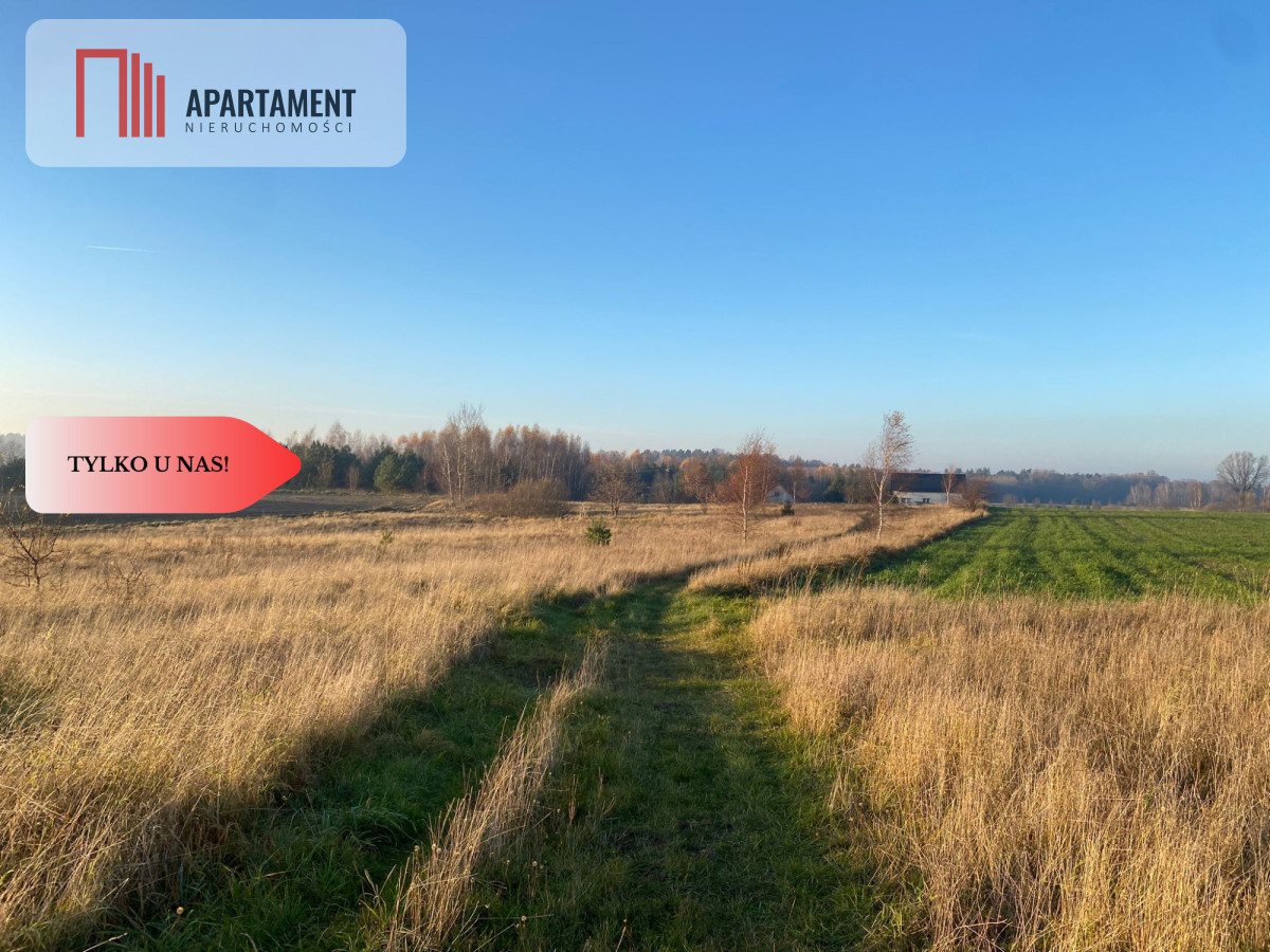Działki objęte MPZP pod zabudowę jednorodzinną - Widok 4