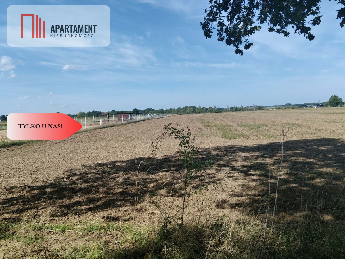 Działka rolna 1,09 ha Głoska gm. Miękinia - Widok 2