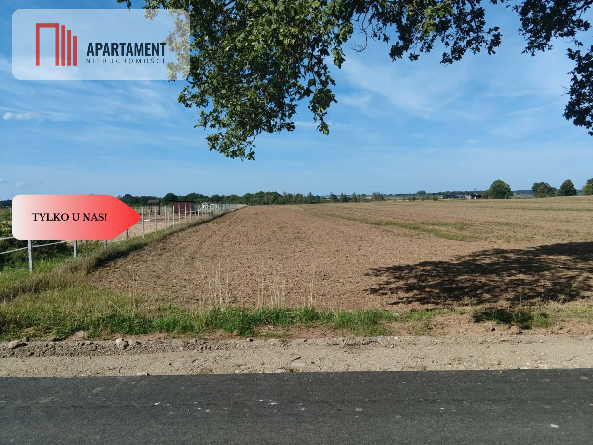 Działka rolna 1,09 ha Głoska gm. Miękinia - Widok 5