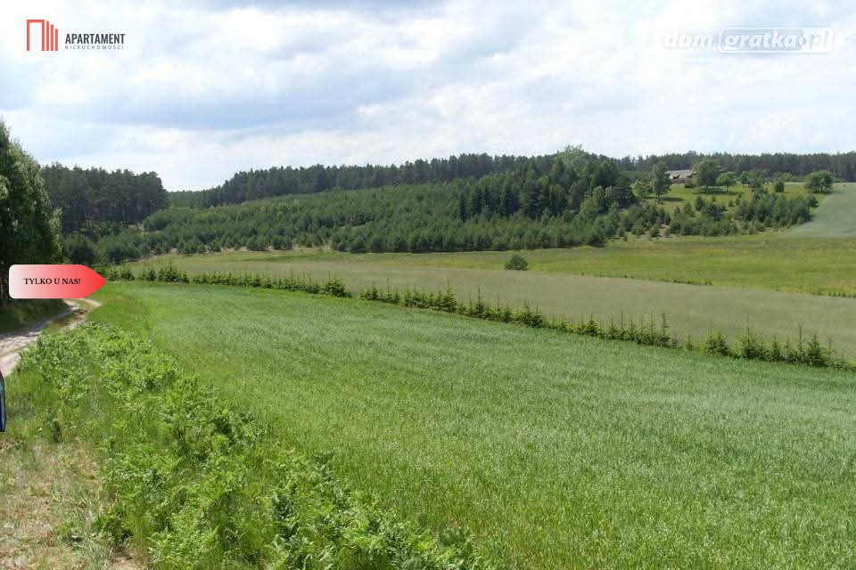 Tylko u Nas! Wyjątkowe działki z WZ-Tuszkowy - Widok 3