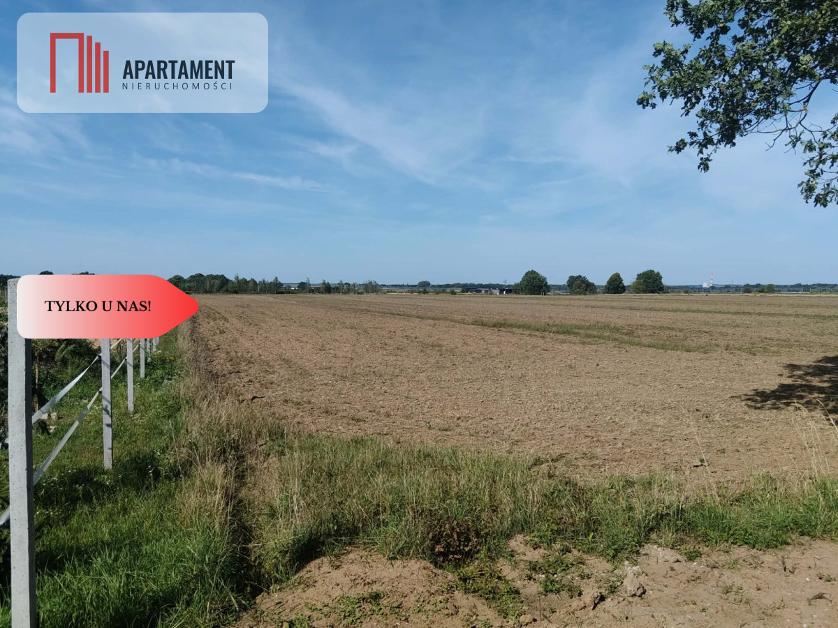 Działka rolna 1,09 ha Głoska gm. Miękinia - Widok 4