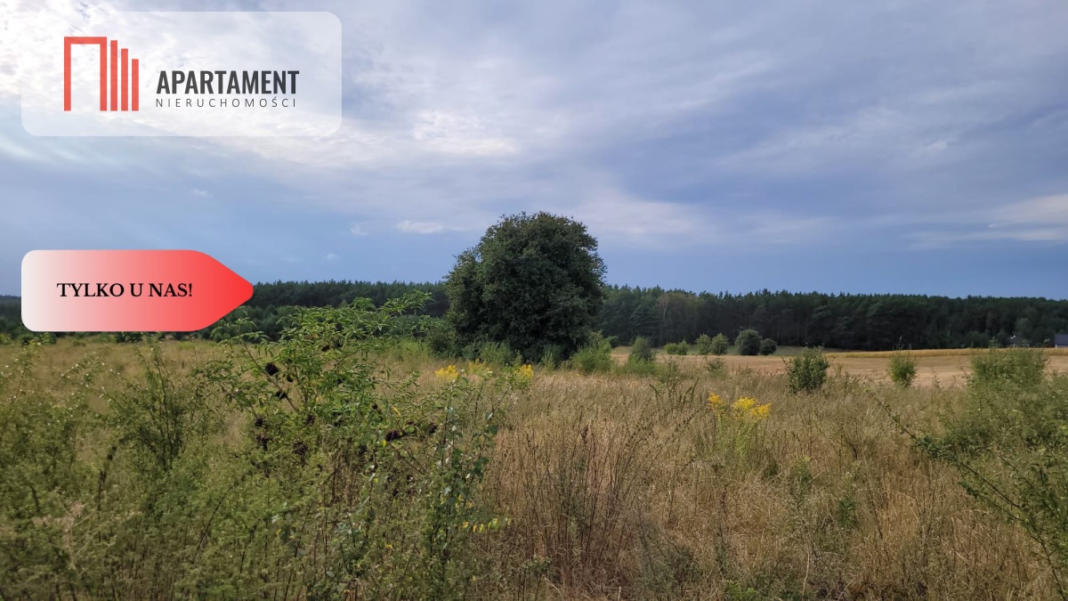 Tylko u nas! Świetna lokalizacja, cisza - Widok 4