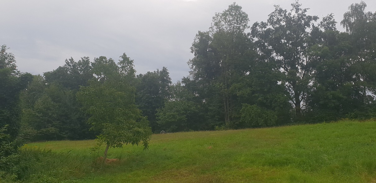 Działka budowlana na wzniesieniu - działka budowlana ok 10 ar - Widok 3