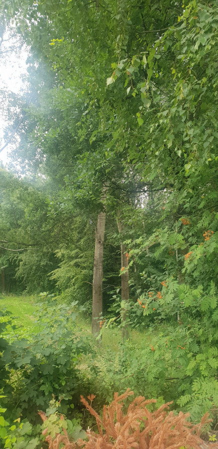 Działka budowlana na wzniesieniu - działka budowlana ok 10 ar - Więcej