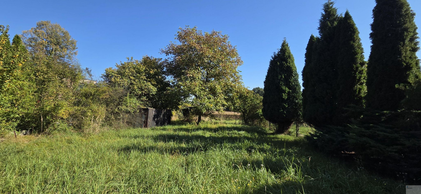 Działka 853 m² | Mikołów – Kamionka / Barbara - Widok 4