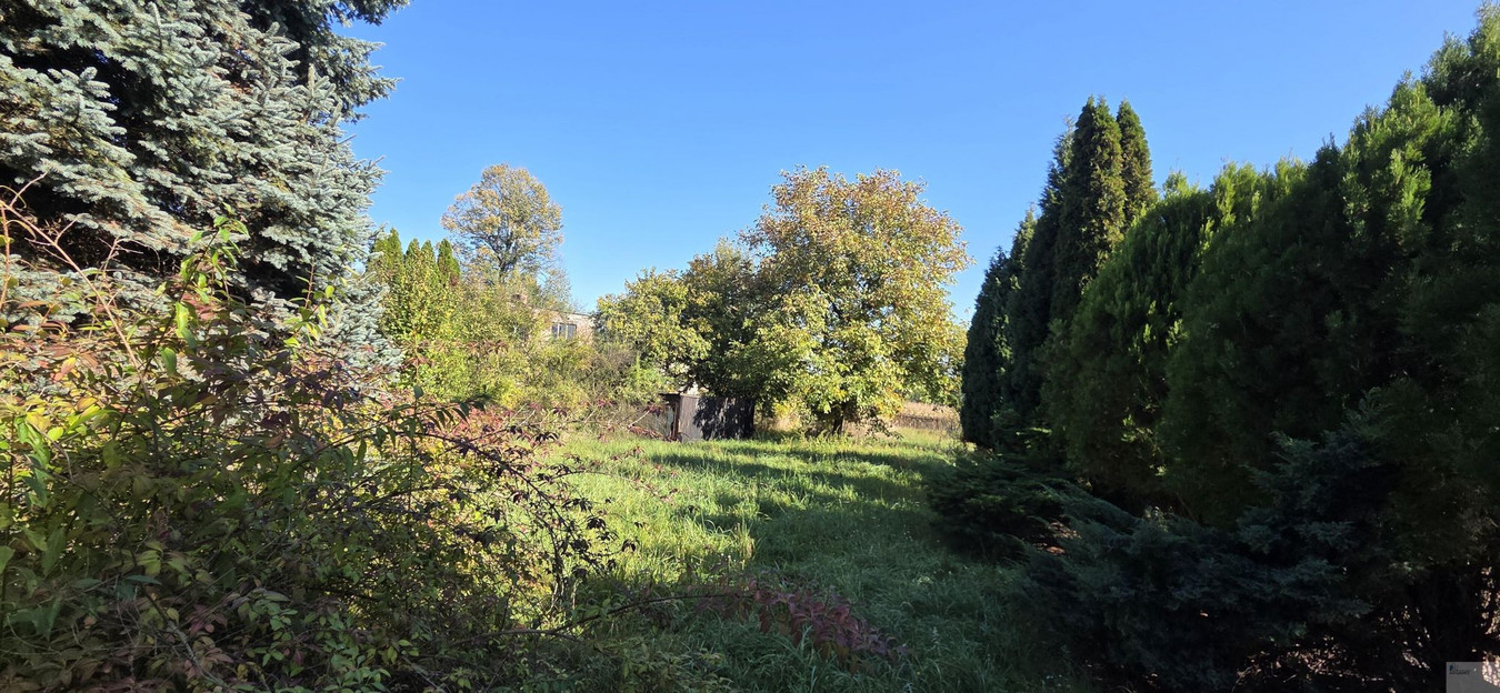 Działka 853 m² | Mikołów – Kamionka / Barbara - Widok 5